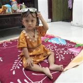 Gi