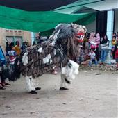CE
