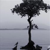 Lễ