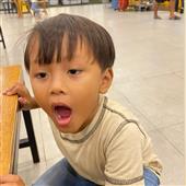 Hổ