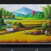 Tỷ