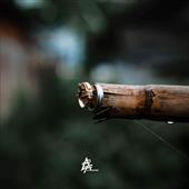 1x